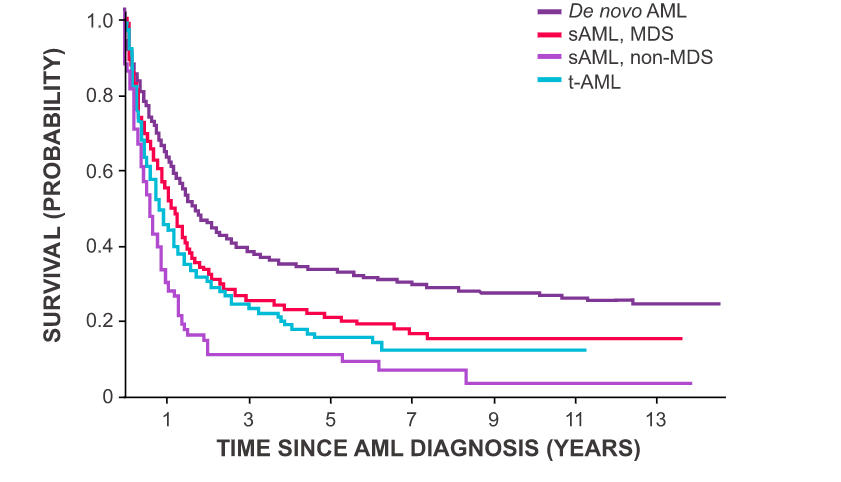 aml-overview-1