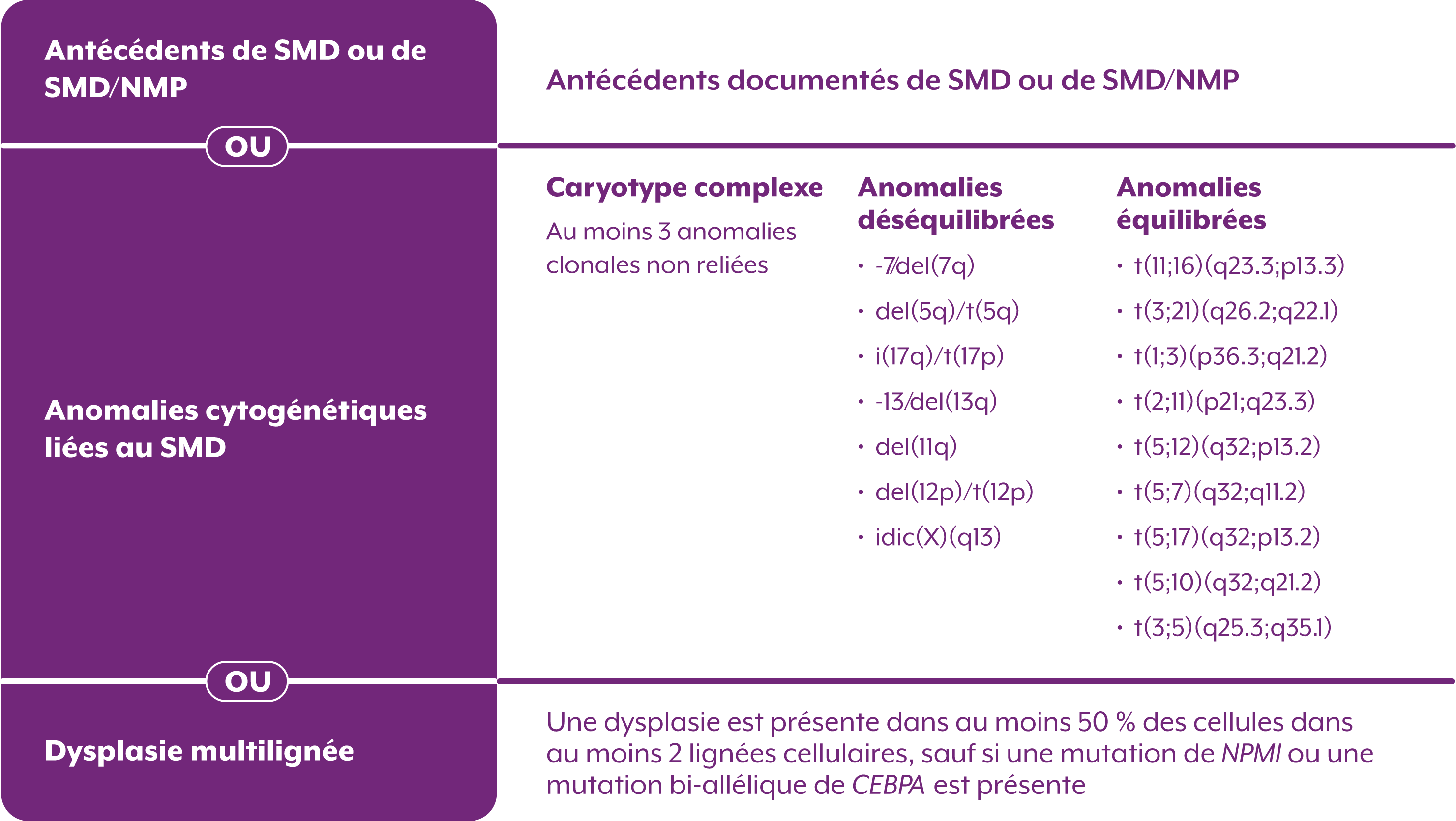 aml-history(fr)